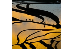 Shutterstock Jason KS Leung